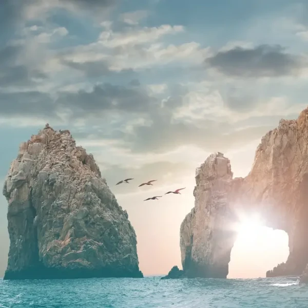 Los Cabos Aeropuerto