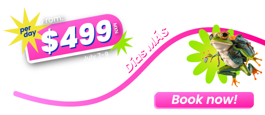 Promotion LOSDIASMAS